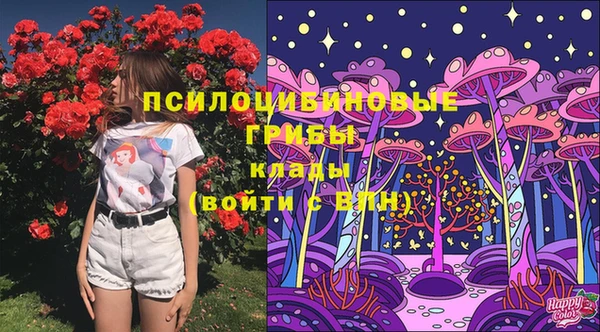 эйфоретик Инсар