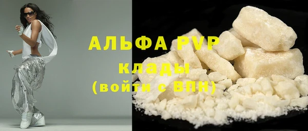 эйфоретик Инсар
