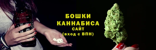 эйфоретик Инсар