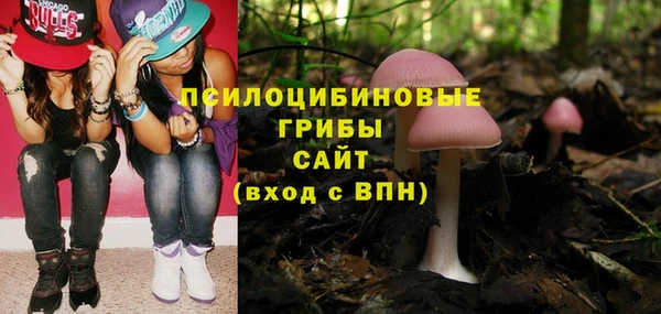 альфа пвп Инта