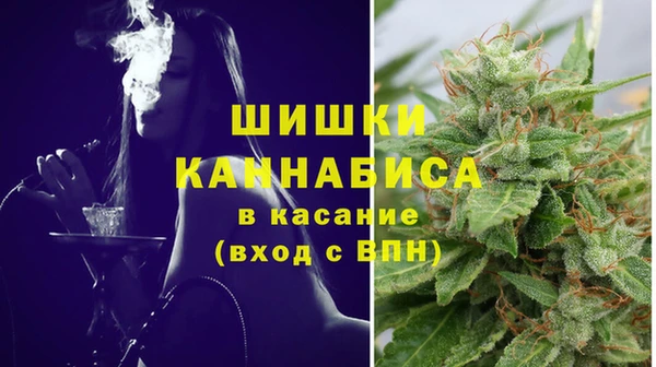 эйфоретик Инсар