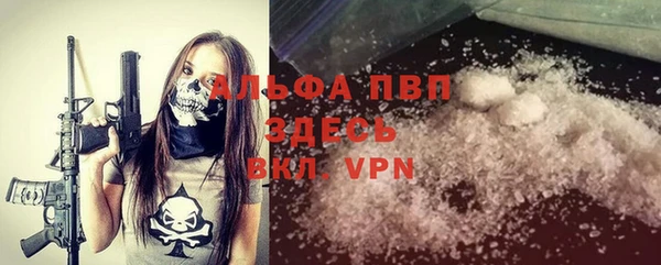 эйфоретик Инсар